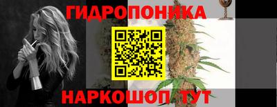 сатива Краснокаменск